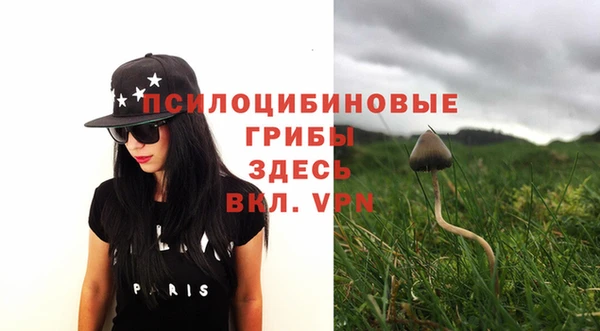 гашик Богданович