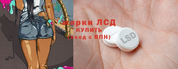 гашик Богданович