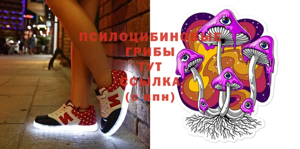 гашик Богданович