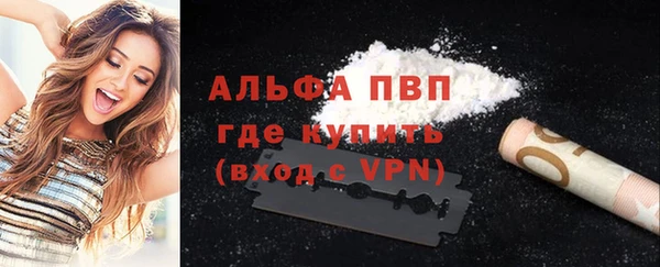 гашик Богданович